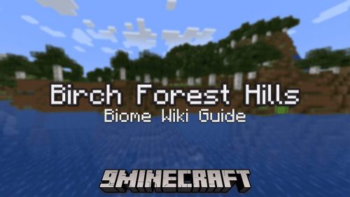 Birch Forest Hills Biome – Wiki Guide Thumbnail