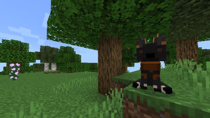 Beautiful Foxes Addon (1.20, 1.19) - MCPE/Bedrock Mod 12