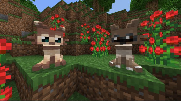 Beautiful Foxes Addon (1.20, 1.19) - MCPE/Bedrock Mod 13