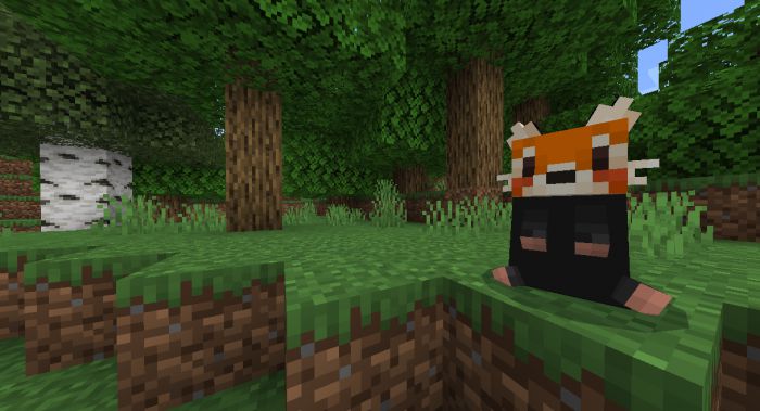 Beautiful Foxes Addon (1.20, 1.19) - MCPE/Bedrock Mod 14