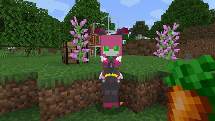 Lovely Robots Addon (1.19, 1.18) - MCPE/Bedrock Mod 15