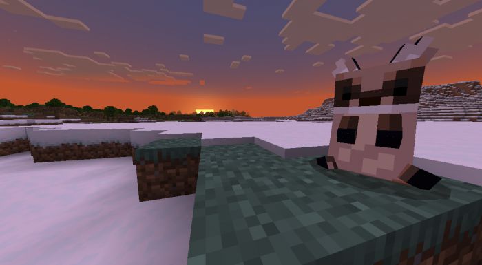 Beautiful Foxes Addon (1.20, 1.19) - MCPE/Bedrock Mod 15