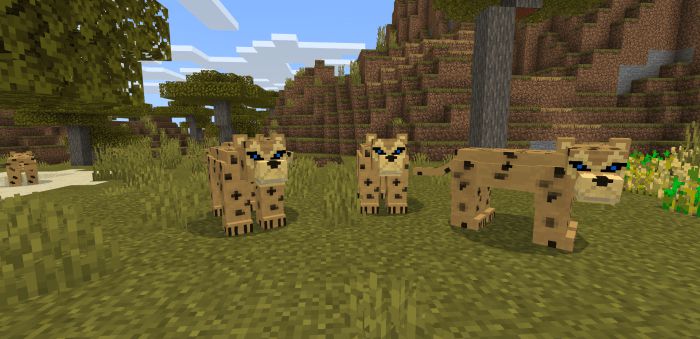 World Animals Addon (1.20, 1.19) - MCPE/Bedrock Mod 16