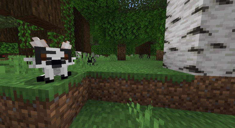 Beautiful Foxes Addon (1.20, 1.19) - MCPE/Bedrock Mod 21