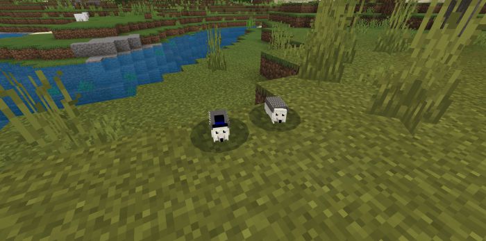 World Animals Addon (1.20, 1.19) - MCPE/Bedrock Mod 26