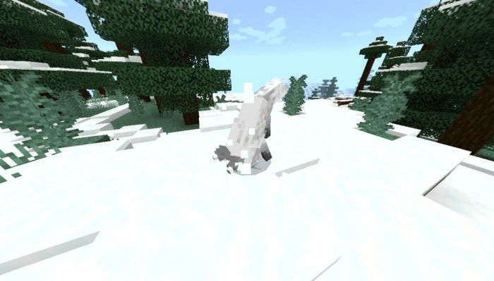 Beautiful Foxes Addon (1.20, 1.19) - MCPE/Bedrock Mod 30