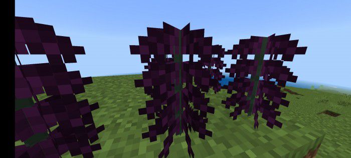 Werewolf Evolution Addon (1.20, 1.19) - MCPE/Bedrock Mod 4