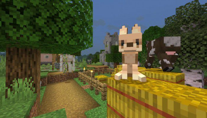 Beautiful Foxes Addon (1.20, 1.19) - MCPE/Bedrock Mod 4