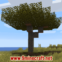 Windswept Savanna Biome - Wiki Guide 2