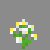 Cornflower - Wiki Guide 22