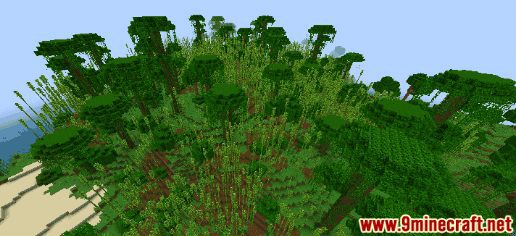 Bamboo Jungle Seeds - Wiki Guide 2