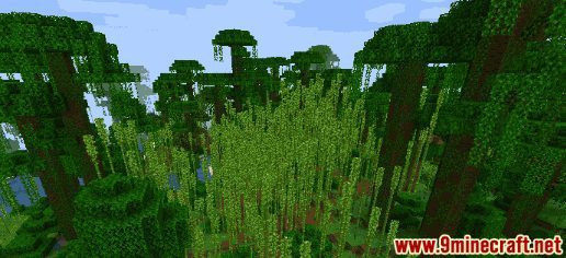 Bamboo Jungle Seeds - Wiki Guide 1