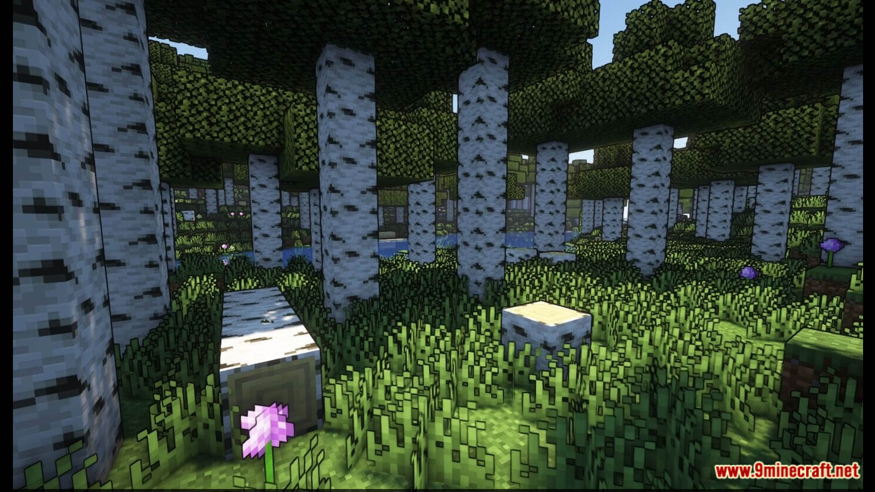 Better Minecraft Vanilla Biomes Data Pack (1.19.3, 1.18.2) - Beautiful Upgraded Biomes 4