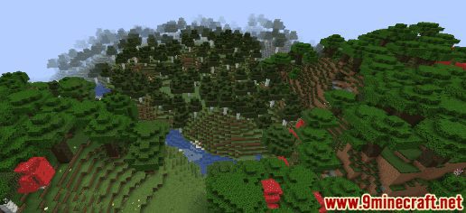 Birch Forest Seeds - Wiki Guide 6