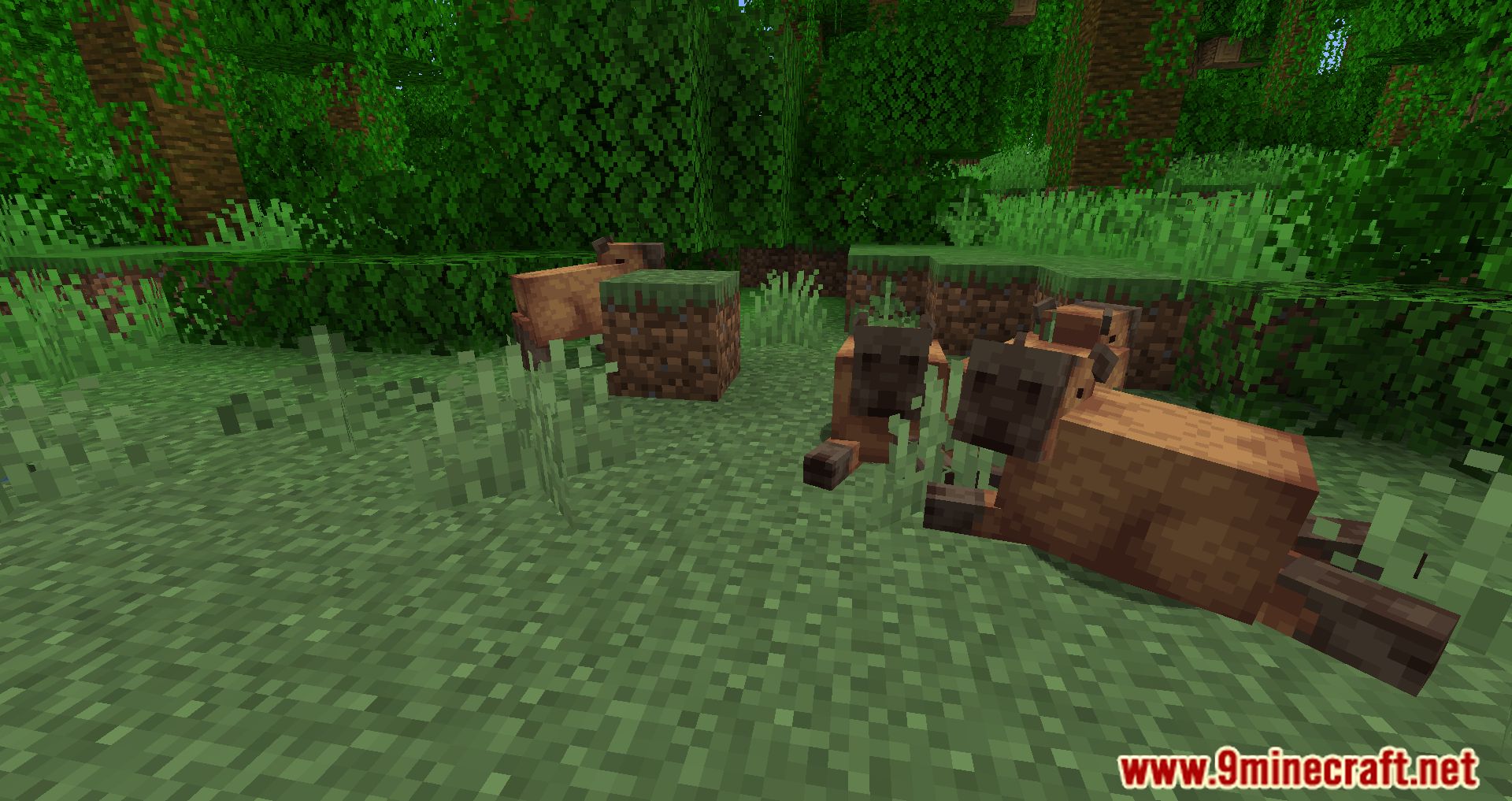 Capybara Mod (1.19.3, 1.18.2) - New Creatures Appear In The Jungle 4