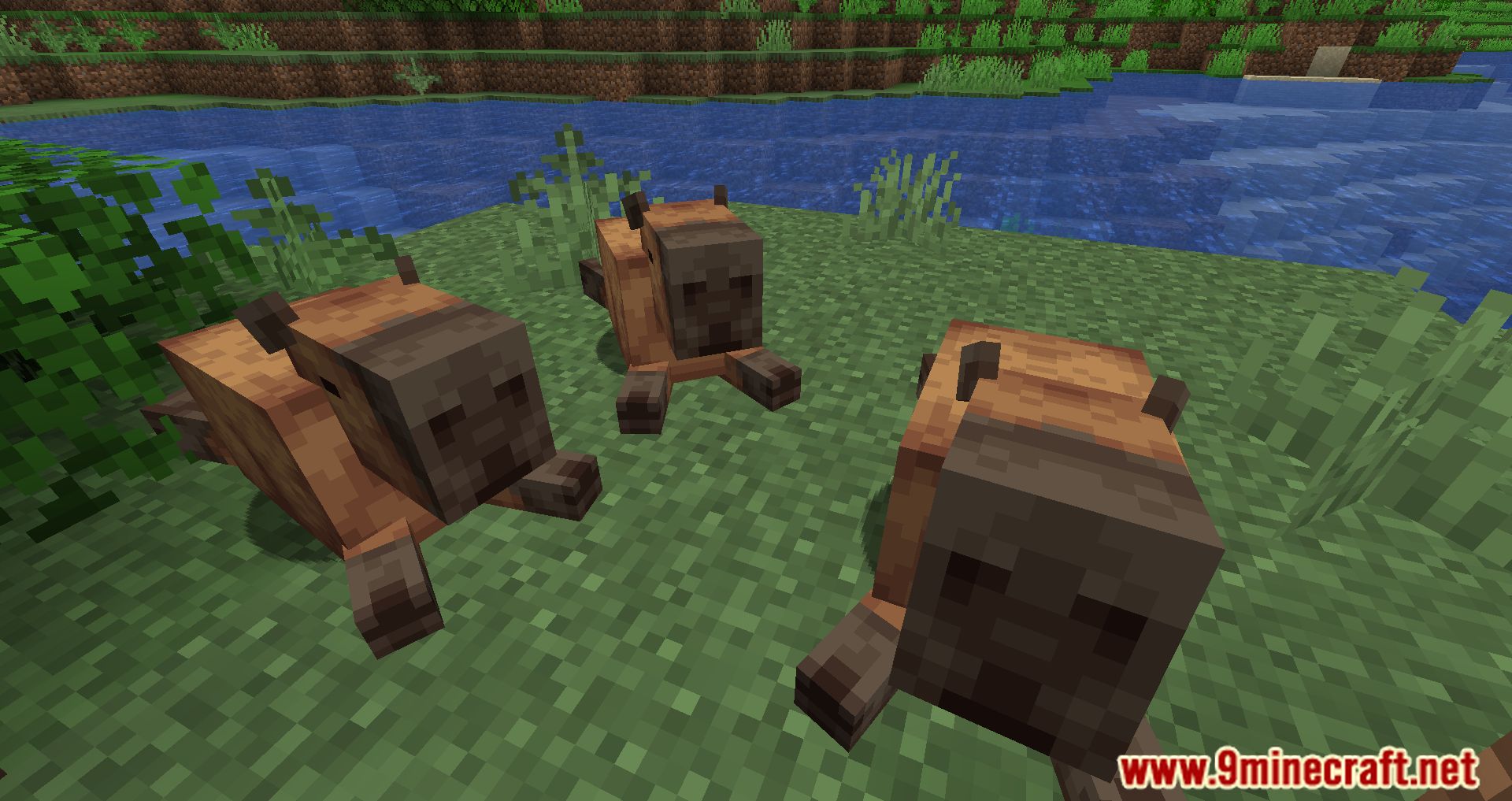 Capybara Mod (1.19.3, 1.18.2) - New Creatures Appear In The Jungle 5