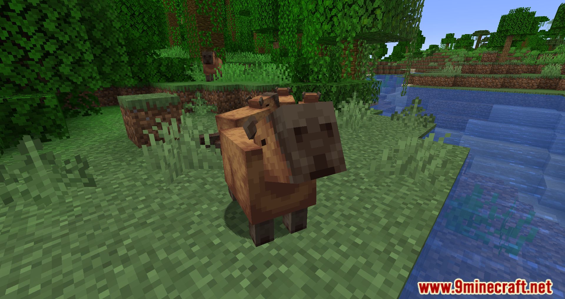 Capybara Mod (1.19.3, 1.18.2) - New Creatures Appear In The Jungle 6
