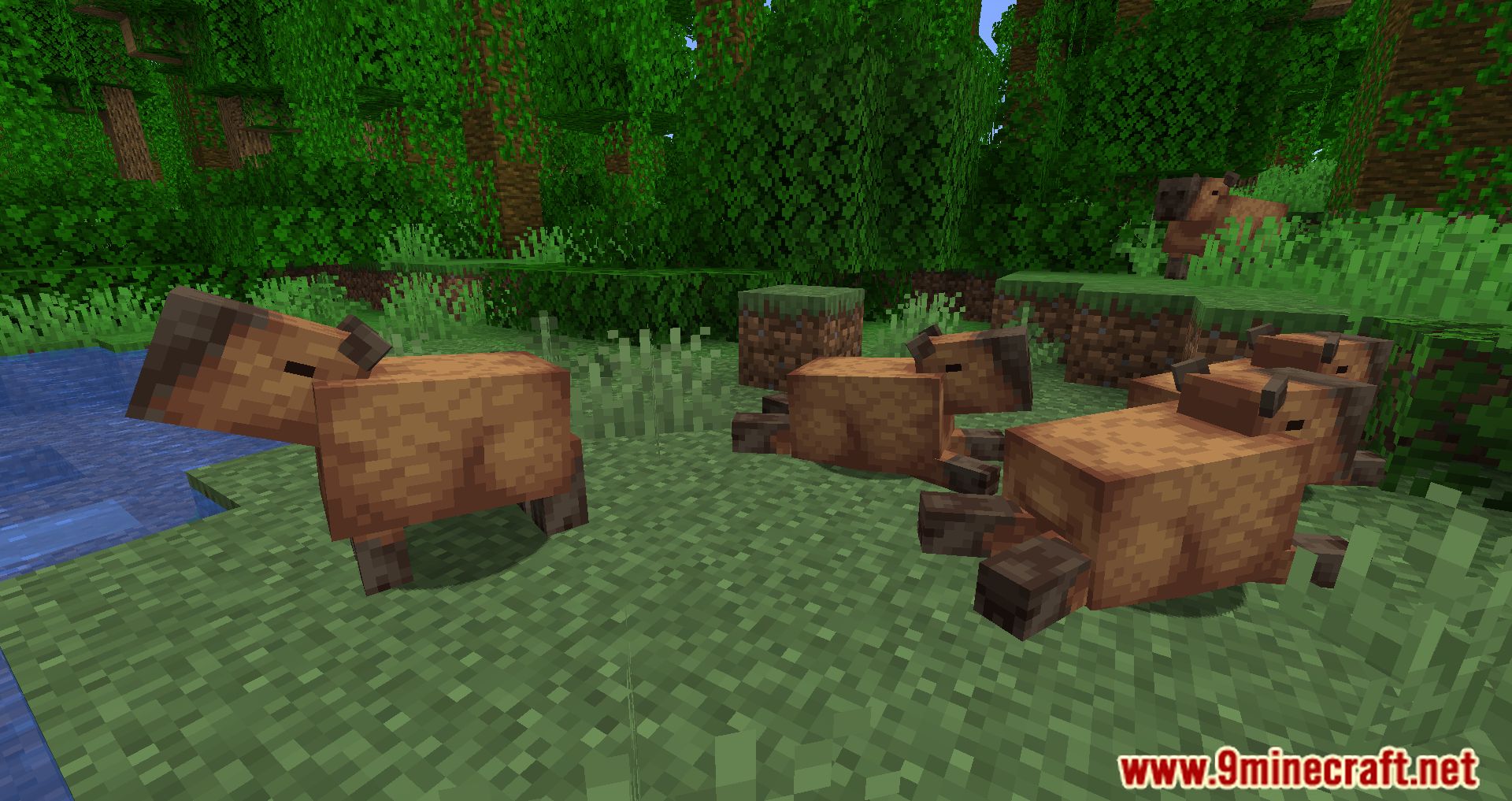 Capybara Mod (1.19.3, 1.18.2) - New Creatures Appear In The Jungle 7