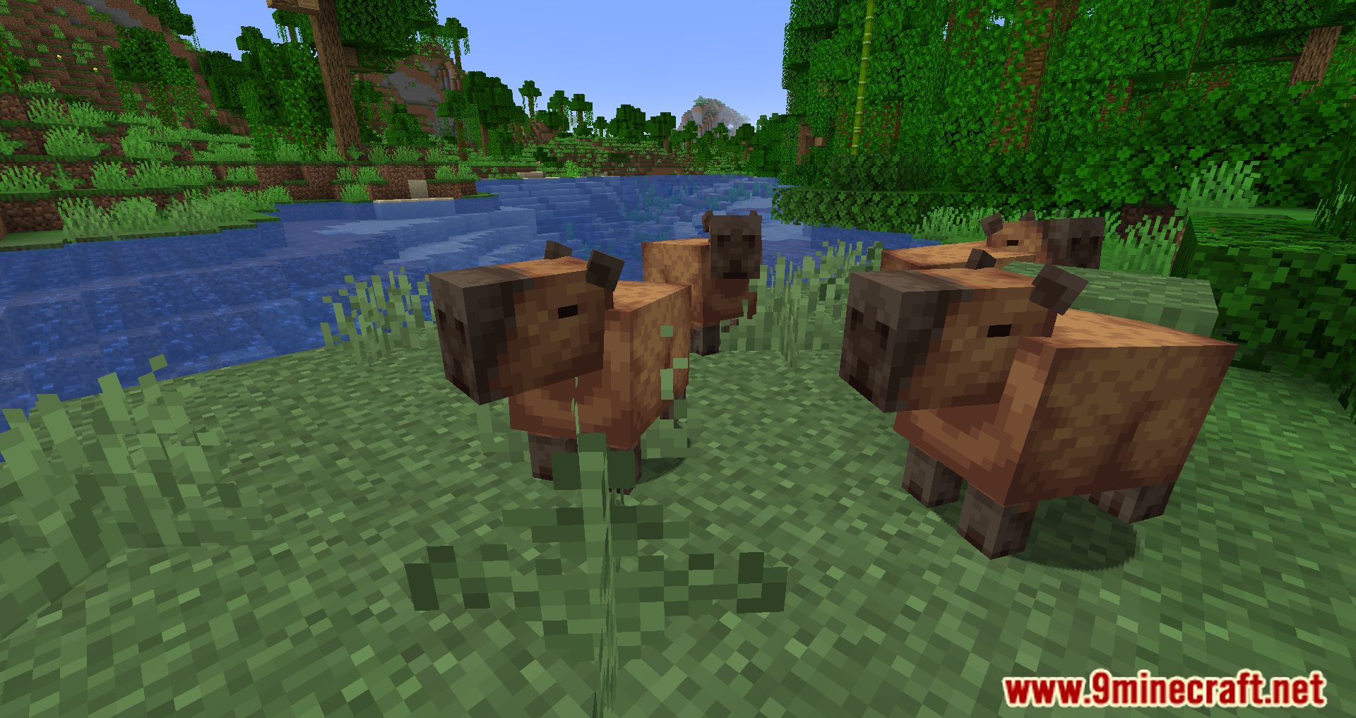 Capybara Mod (1.19.3, 1.18.2) - New Creatures Appear In The Jungle 8