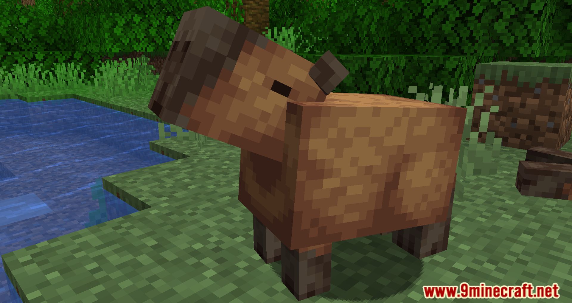 Capybara Mod (1.19.3, 1.18.2) - New Creatures Appear In The Jungle 9