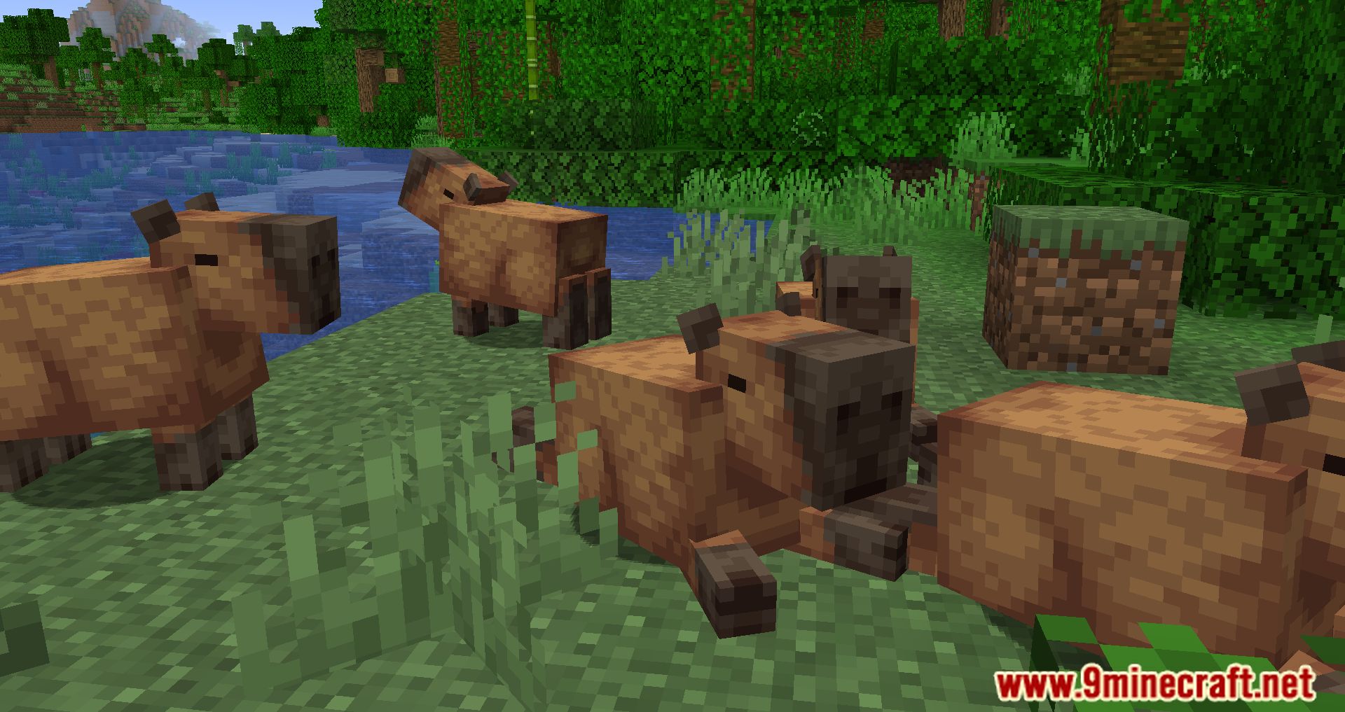 Capybara Mod (1.19.3, 1.18.2) - New Creatures Appear In The Jungle 10