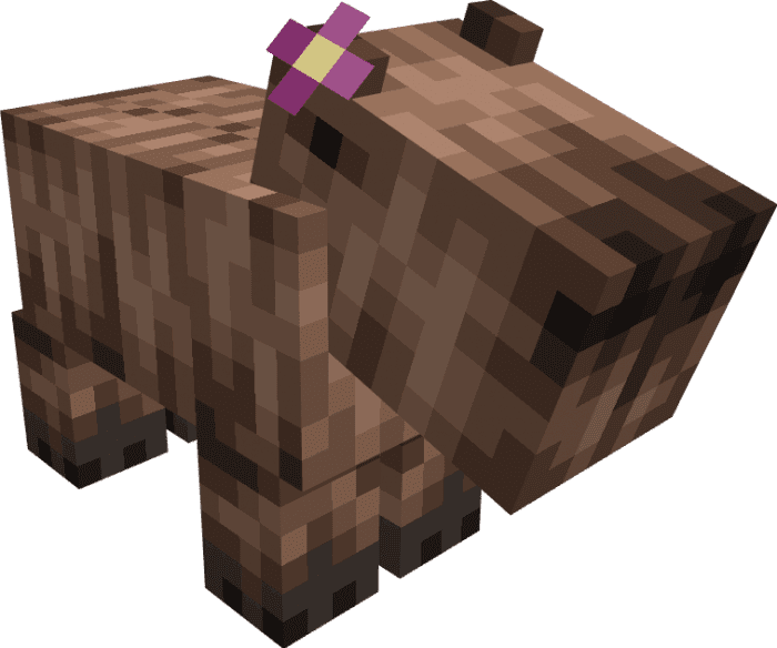 Capybara Resource Pack (1.19) - MCPE/Bedrock 3