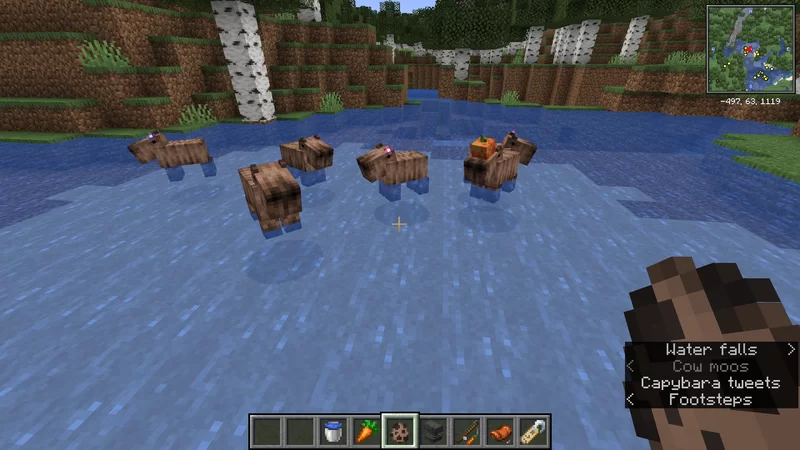 Capybara Resource Pack (1.19) - MCPE/Bedrock 6