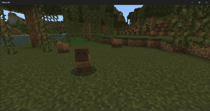 Capybaras Addon (1.20, 1.19) - MCPE/Bedrock Mod 2