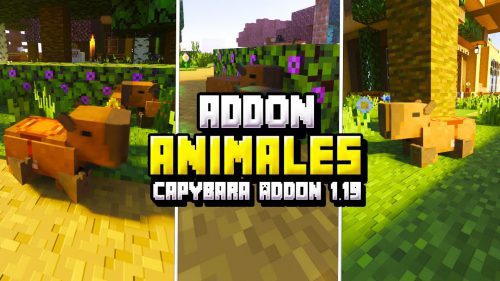 Capybaras Addon (1.20, 1.19) – MCPE/Bedrock Mod Thumbnail