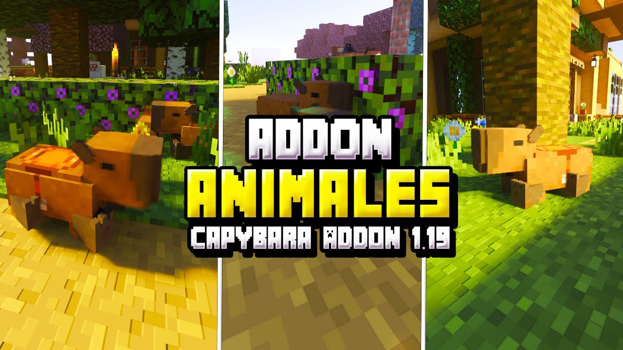 Capybaras Addon (1.20, 1.19) - MCPE/Bedrock Mod 1