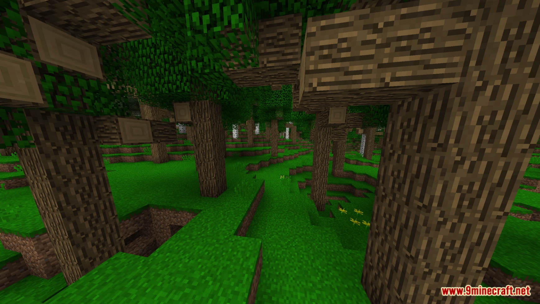 EMD's Better Trees Data Pack (1.21, 1.20.1) - Improving Overworld Trees 5