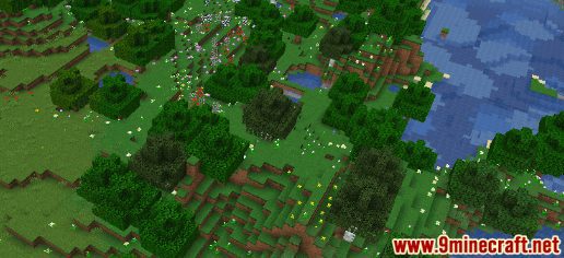 Village Seeds - Wiki Guide 13