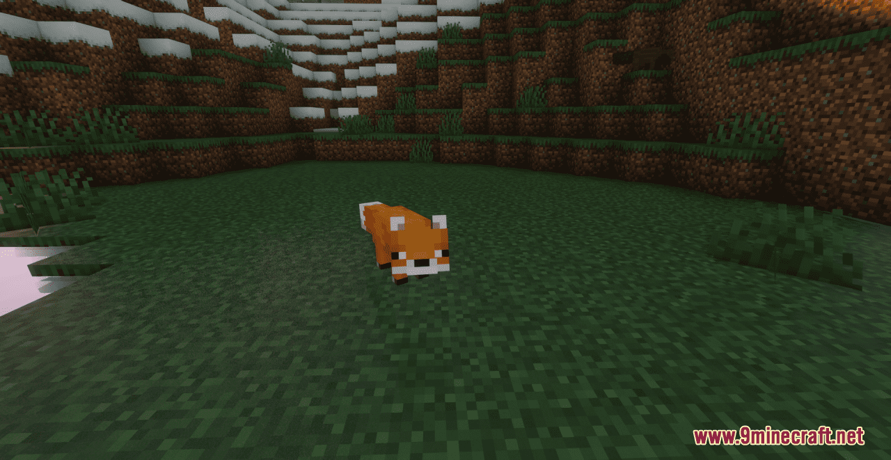 Fox Variety Resource Pack (1.20.6, 1.20.1) - Texture Pack 3