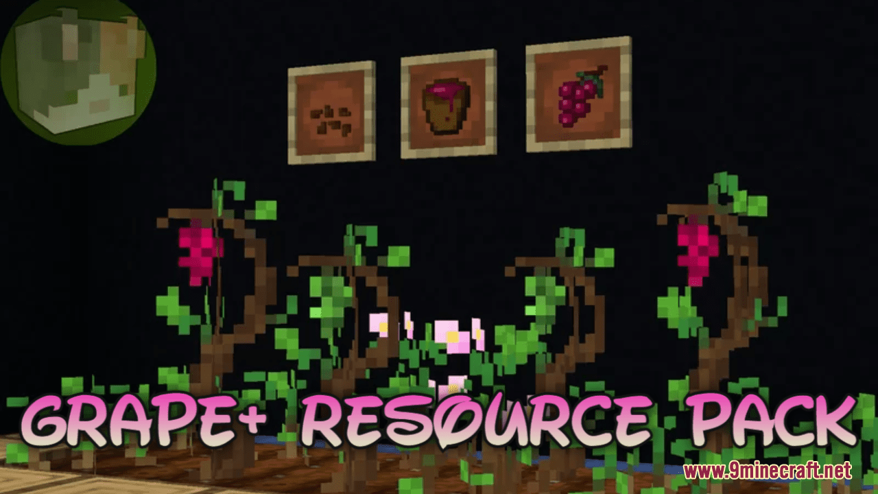 Grapes+ Resource Pack (1.20.6, 1.20.1) - Texture Pack 1