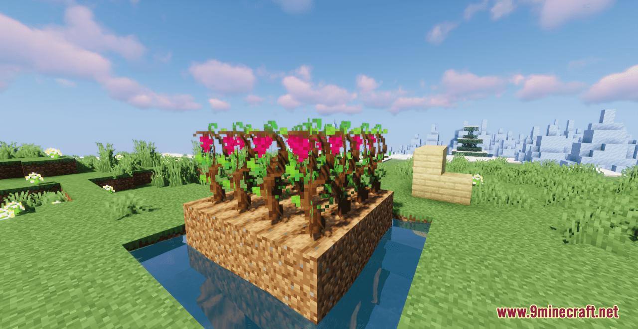 Grapes+ Resource Pack (1.20.6, 1.20.1) - Texture Pack 2