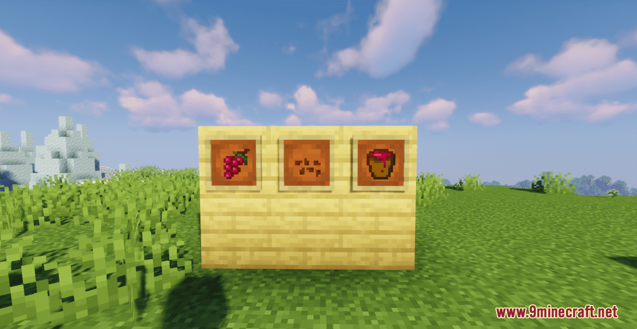 Grapes+ Resource Pack (1.20.6, 1.20.1) - Texture Pack 11