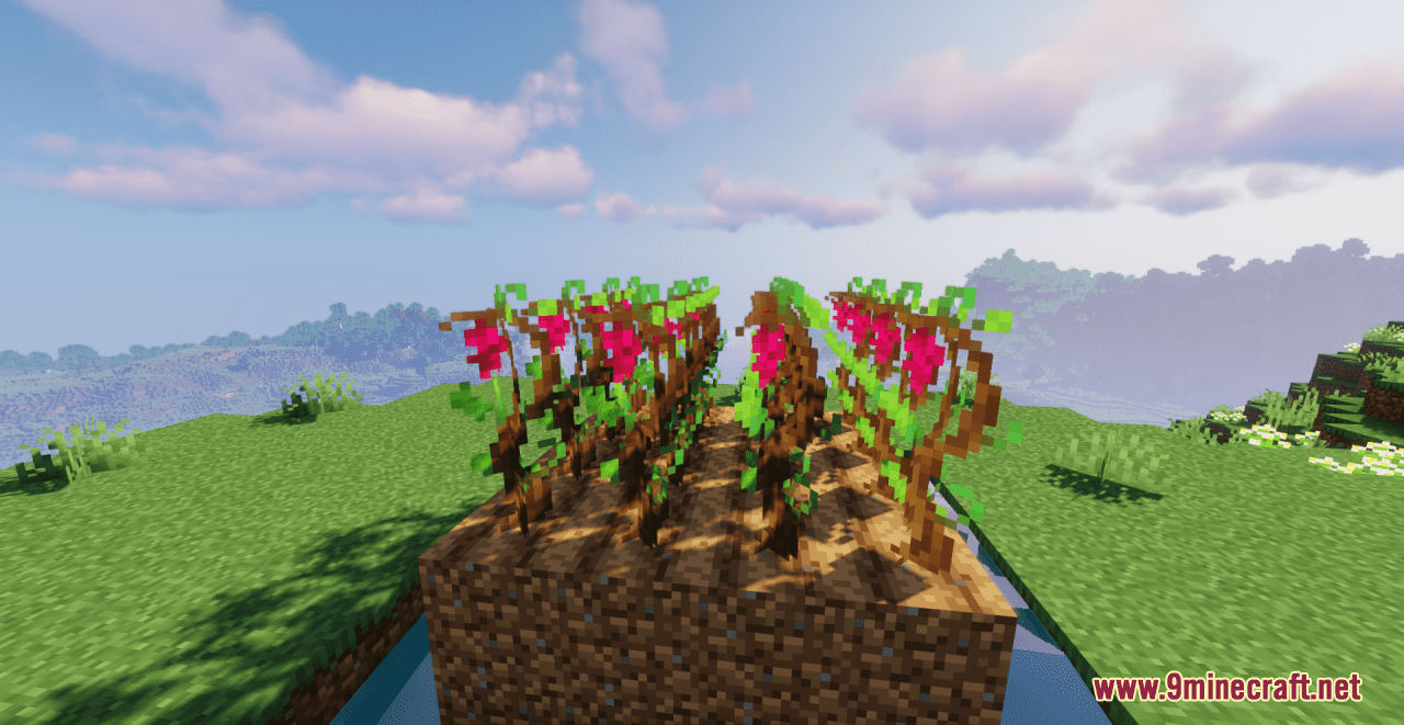 Grapes+ Resource Pack (1.20.6, 1.20.1) - Texture Pack 12