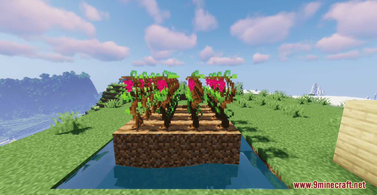 Grapes+ Resource Pack (1.20.6, 1.20.1) - Texture Pack 13