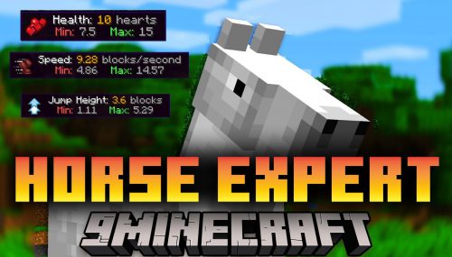 Horse Expert Mod (1.20.4, 1.19.4) – Horse’s Statistics Thumbnail