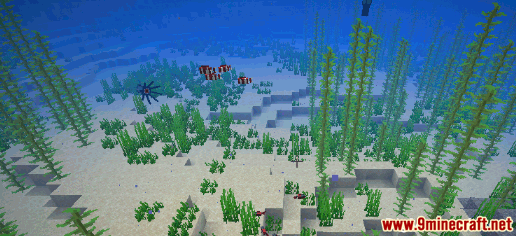 Lukewarm Ocean Biome - Wiki Guide 1