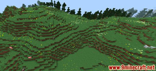 Wooded Hills Seeds - Wiki Guide 7