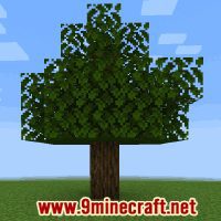 Wooded Hills Biome - Wiki Guide 3