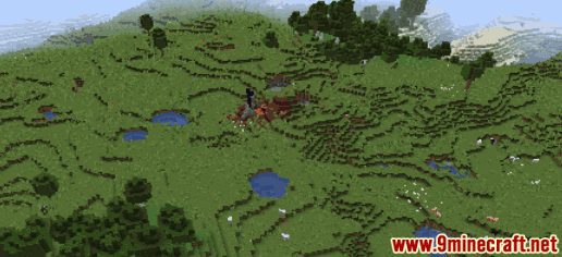 Horse Seeds - Wiki Guide 9