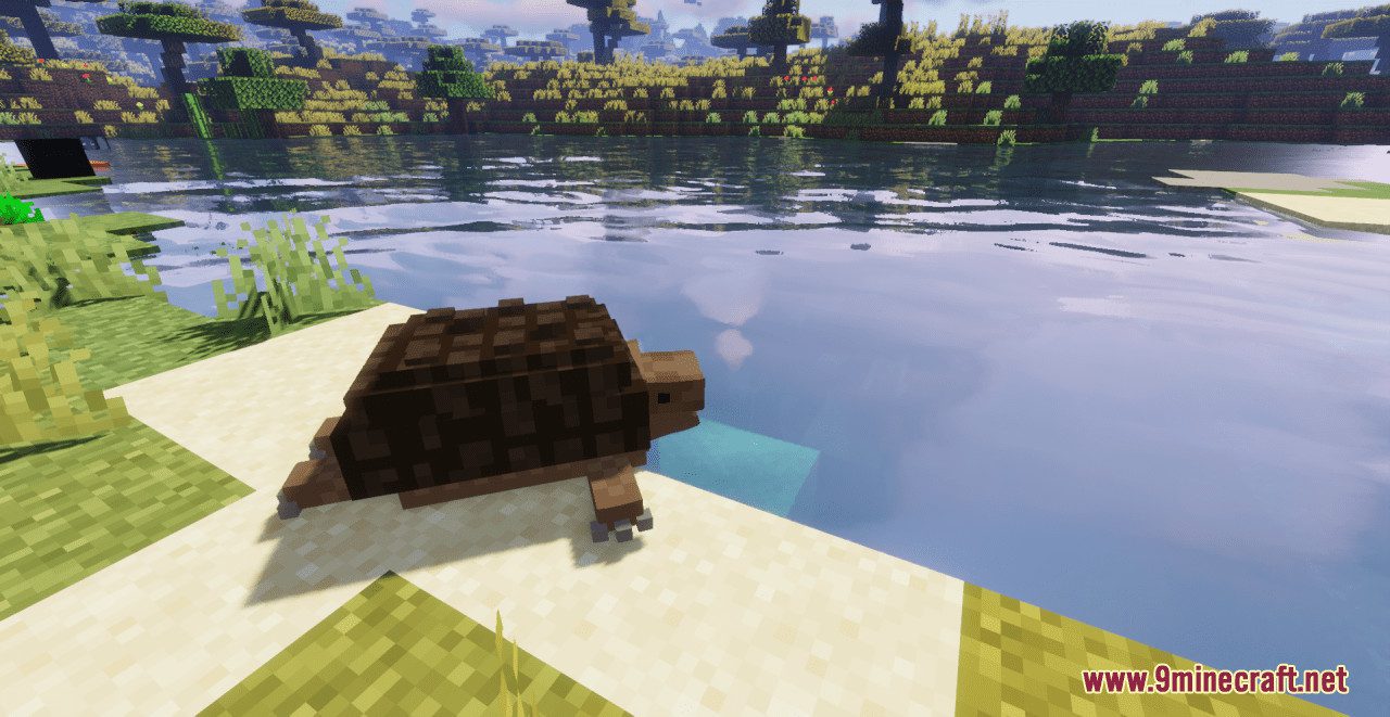 Snapping Turtle Resource Pack (1.20.6, 1.20.1) - Texture Pack 2