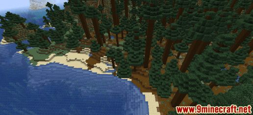 Old Growth Pine Taiga Seeds - Wiki Guide 4