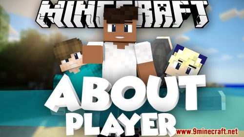 AboutPlayer Plugin (1.12.2) – Bukkit, Spigot, Paper Thumbnail