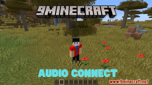 AudioConnect Plugin (1.12.2) – Bukkit, Spigot, Paper Thumbnail