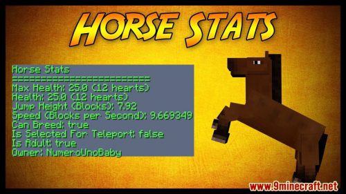 HorseStats Plugin (1.14.4, 1.13.2) – Bukkit, Spigot, Paper Thumbnail