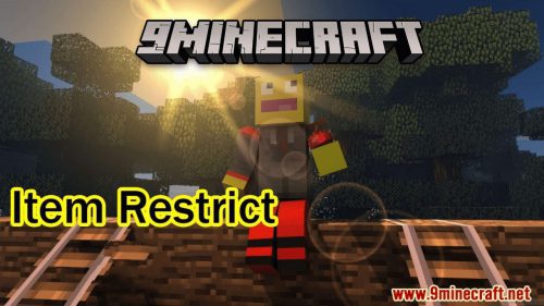 Item Restrict Plugin (1.12.2) – Bukkit, Spigot, Paper Thumbnail