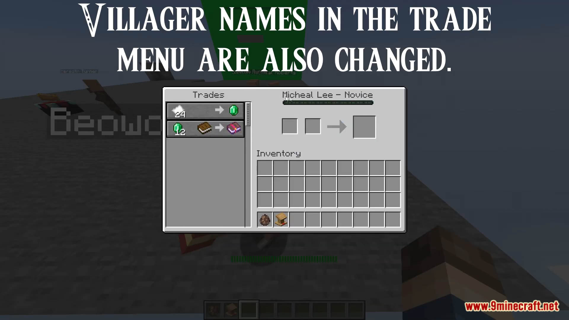 WASD Random Villager Names Data Pack (1.20.6, 1.20.1) - Villagers Have Names! 9